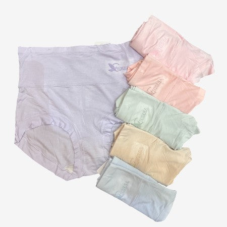 High Waisted Microfiber Panties 1
